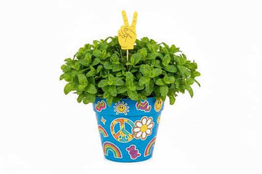 Keep everything the same, but replace the peace sign coming out of the plant with a yellow, plastic, 2 dimensional hand- not a realistic hand.